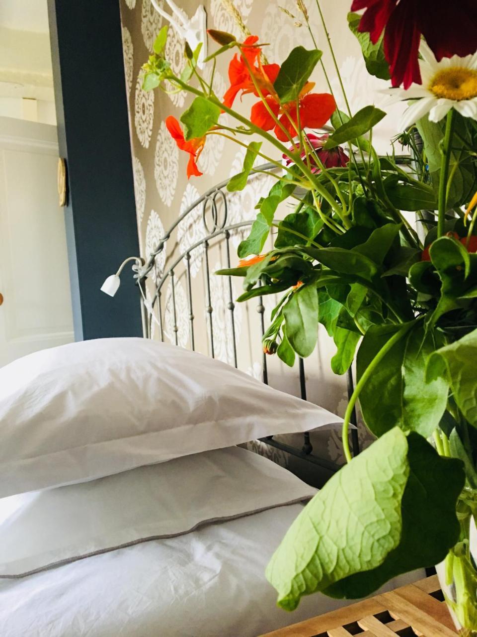 B&B Het Rode Hert 두스뷔르흐 외부 사진